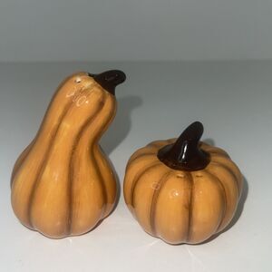 Harvest Vegetable Pumpkin Squash Salt/Pepper Shakers Thanksgiving Fall 3” Tall